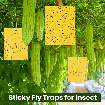 Yellow Greenhouse Sticky Traps | Control Sticker Double-sided