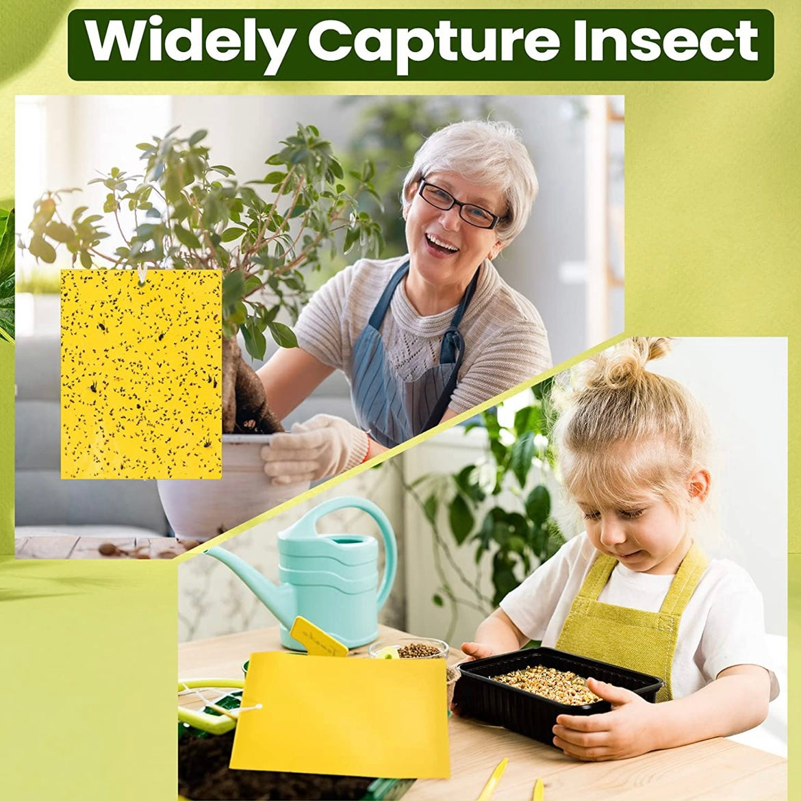 Yellow Greenhouse Sticky Traps | Control Sticker Double-sided