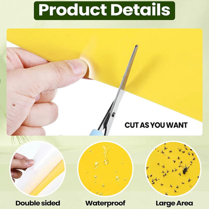 Yellow Greenhouse Sticky Traps | Control Sticker Double-sided