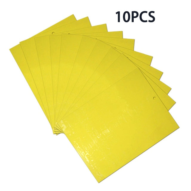 Yellow Greenhouse Sticky Traps | Control Sticker Double-sided