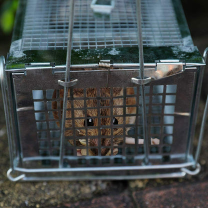 2x Rat Trap Cage Small Live Animal Pest Rodent Control